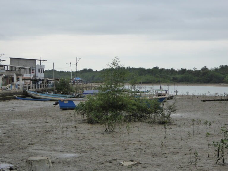 Embarcaciones en el puerto de Puerto Jelí, El Oro
