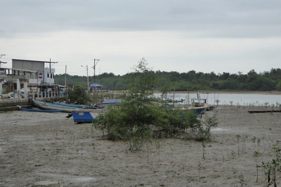 Embarcaciones en el puerto de Puerto Jelí, El Oro
